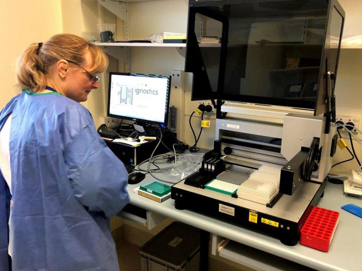 PCR for direct detection for dermatophye